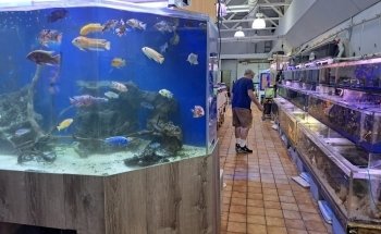 Seascape Aquarium & Pet Center