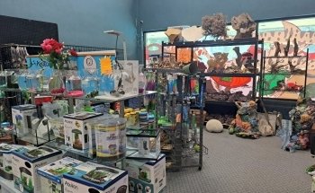 Seascape Aquarium & Pet Center