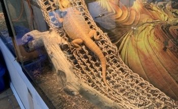 Seascape Aquarium & Pet Center