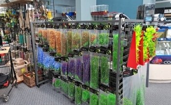 Seascape Aquarium & Pet Center