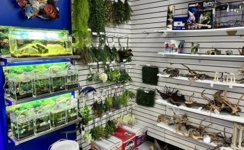 Exotic Aquatics