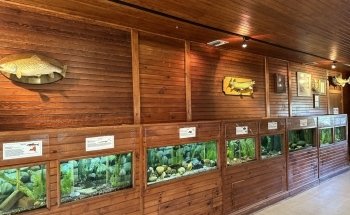 Criadero de Peces y Acuario de Cold Spring Harbor