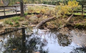 Cold Spring Harbor Fish Hatchery & Aquarium