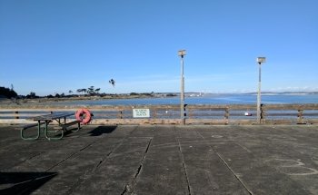 Port Townsend Marine Science Center
