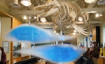 Port Townsend Marine Science Center