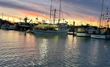 Charleston Marine Life Center