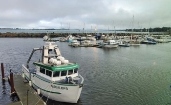 Charleston Marine Life Center