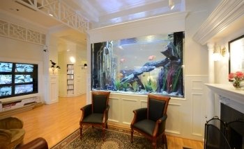 Fish Gallery Boutique | Aquarium Superstore