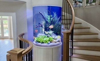 Fish Gallery Boutique | Aquarium Superstore