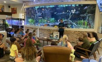 Fish Gallery Boutique | Aquarium Superstore