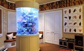 Fish Gallery Boutique | Aquarium Superstore