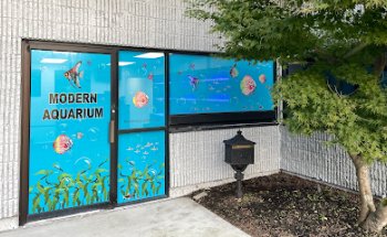 Acuario Moderno