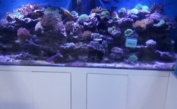 Aquarama Inc.