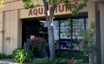 Colección Acuática