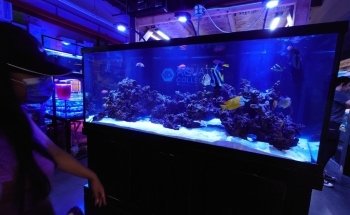 Aquatic Collection