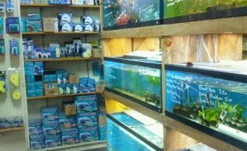 Uncle Ned's Fish Factory