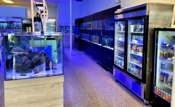 Exotic Aquatic, Inc.
