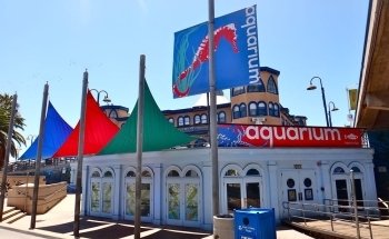 Heal the Bay Aquarium