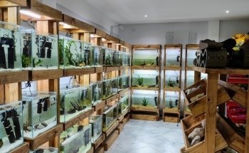 Aquarium Fish Argentina