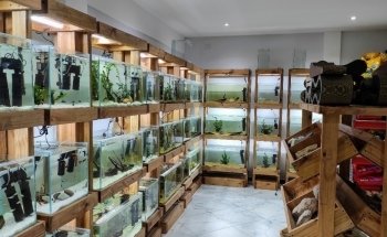 AQUARIUM FISH ARGENTINA