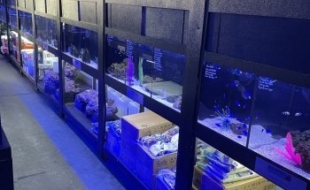 Aquatic Treasures