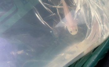 Aquatic Treasures