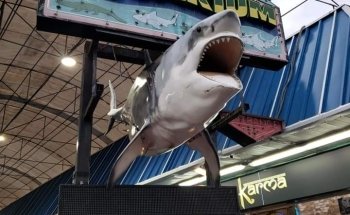 Seaport Aquarium