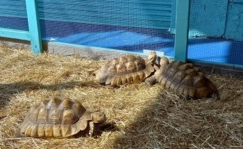Seaport Aquarium