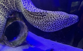 Seaport Aquarium