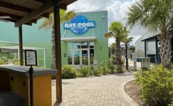 Institute For Marine Mammal Studies