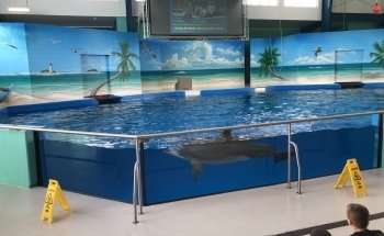 Institute For Marine Mammal Studies