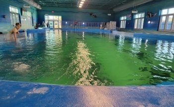 Institute For Marine Mammal Studies