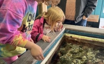 Marine Life Center