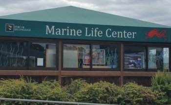 Marine Life Center