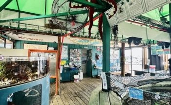 Marine Life Center