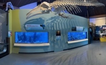 Maine State Aquarium