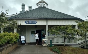 Maine State Aquarium