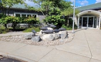 Maine State Aquarium