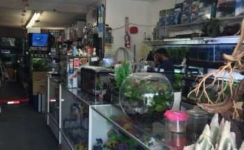 Lotus Aquarium