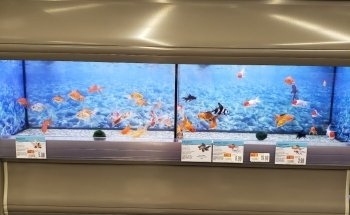 Pet Supplies Plus Normal