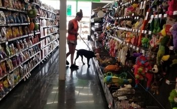 Pet Supplies Plus Normal
