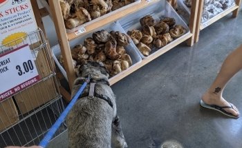 Pet Supplies Plus Normal