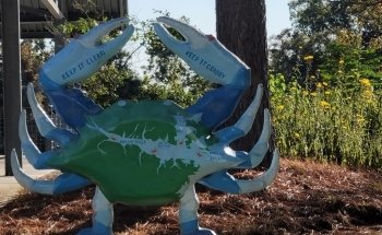 North Carolina Estuarium