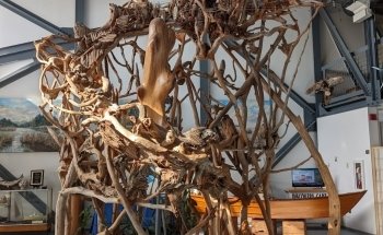 North Carolina Estuarium