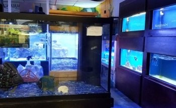 Aquarium Shoppe