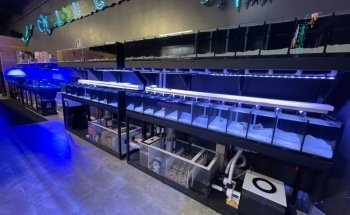 Aqua-Vault