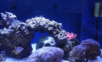 Fish World Spokane