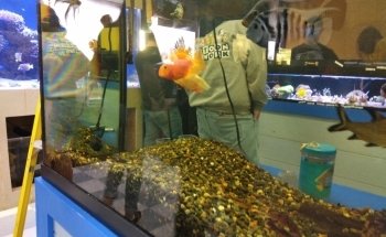 Fish World Spokane