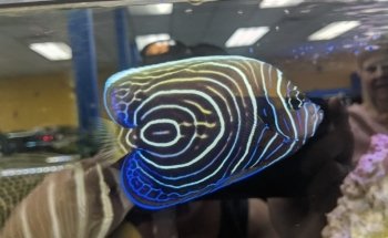 Fish World Spokane