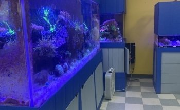Fish World Spokane